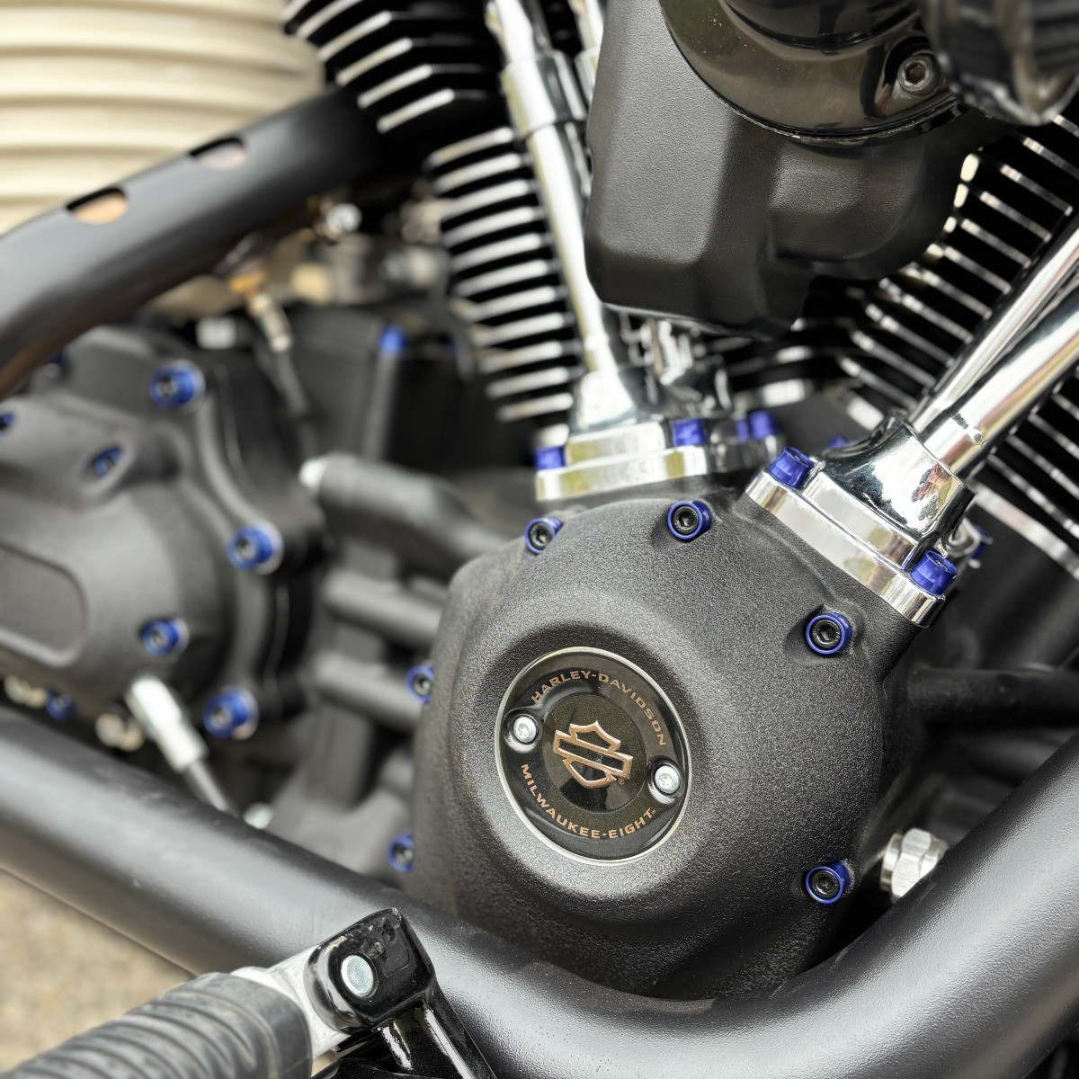 Hogworks Hogworkz® Full Engine Bolt Kit for M8 Harley® Touring & Softail | Blue