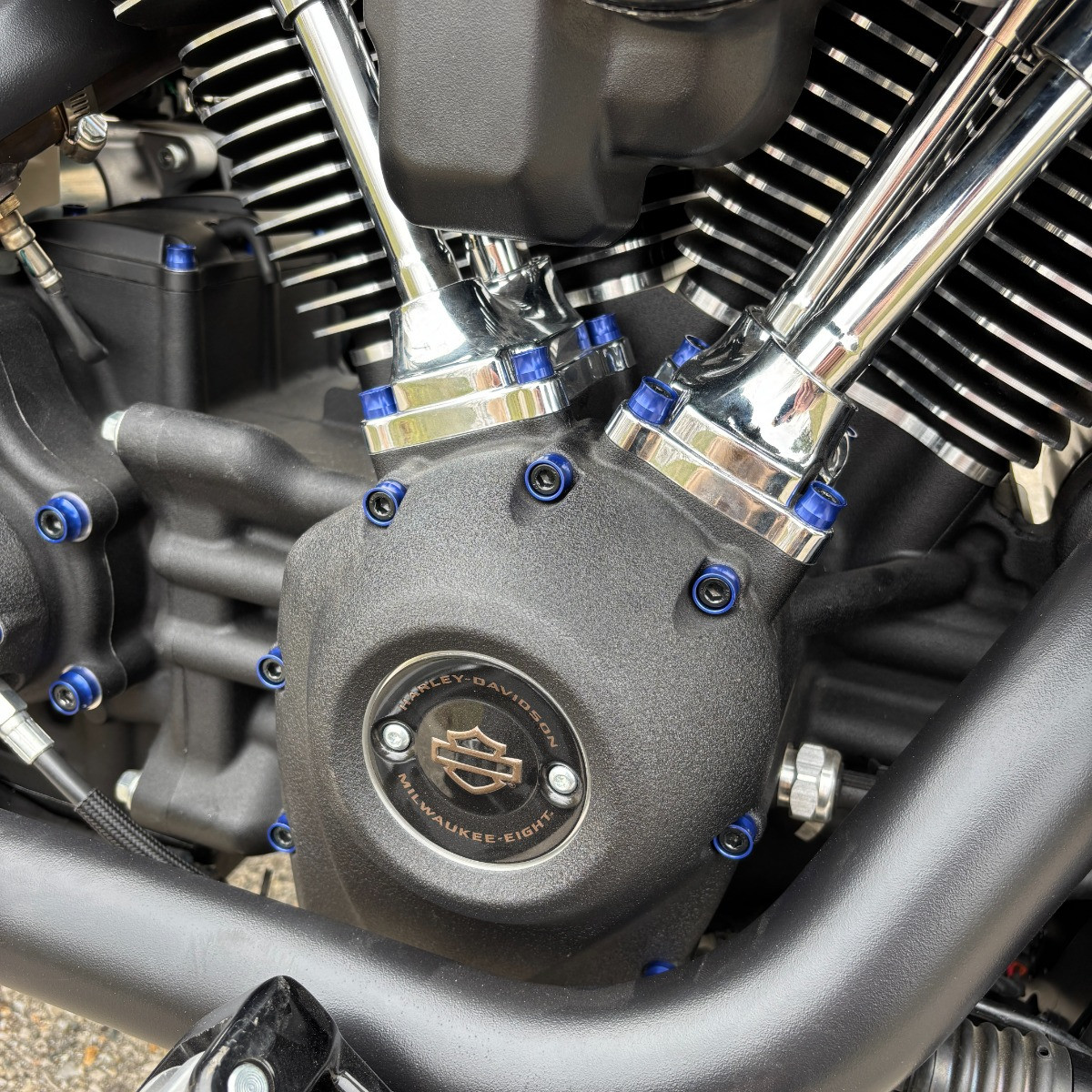 Hogworks Hogworkz® Full Engine Bolt Kit for M8 Harley® Touring & Softail | Blue