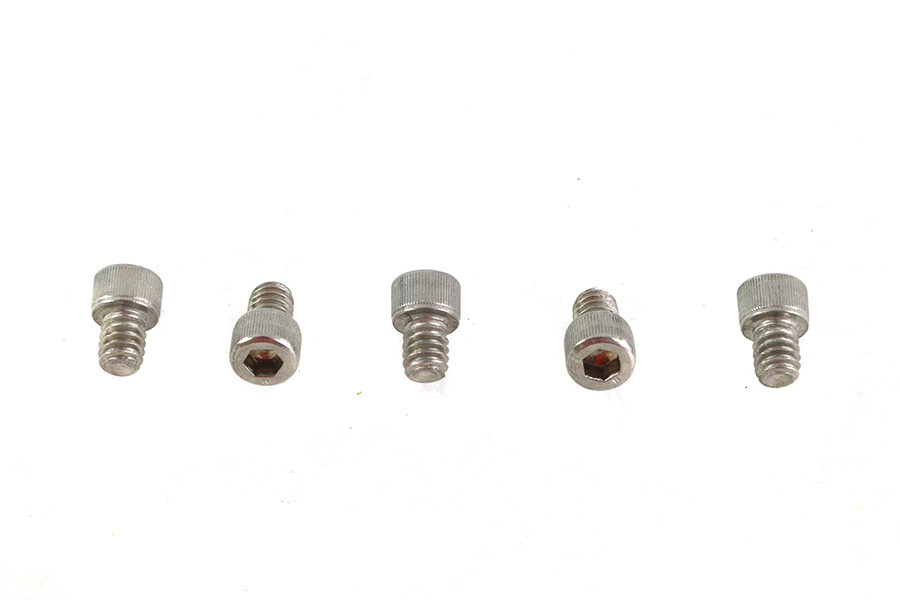 V-Twin - 1/4 inch-20 x 5/16 inch Allen Socket Cap Screw Stainless Ste