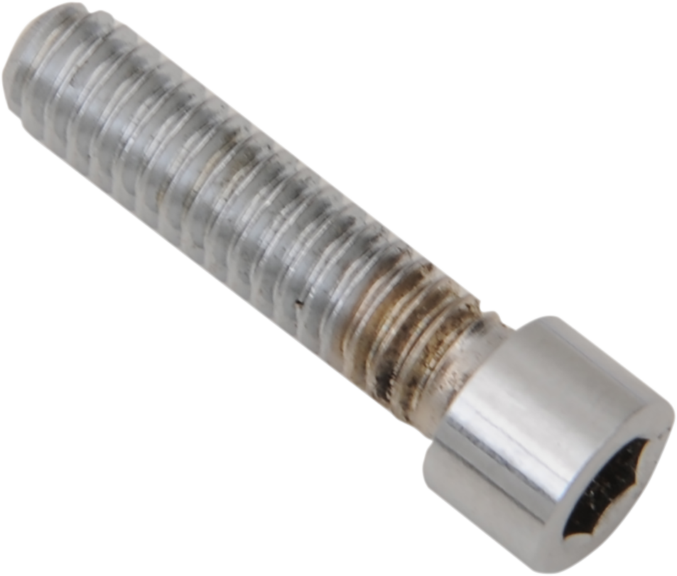 Drag Specialties Bolt Kit - Transmission Top - Chrome - Smooth - M8