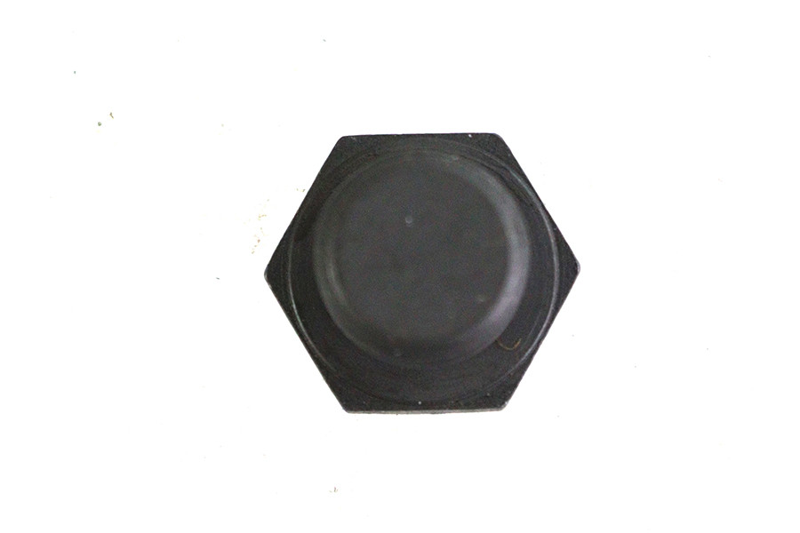 Colony - Engine Case Drain Oil Pump Plug
