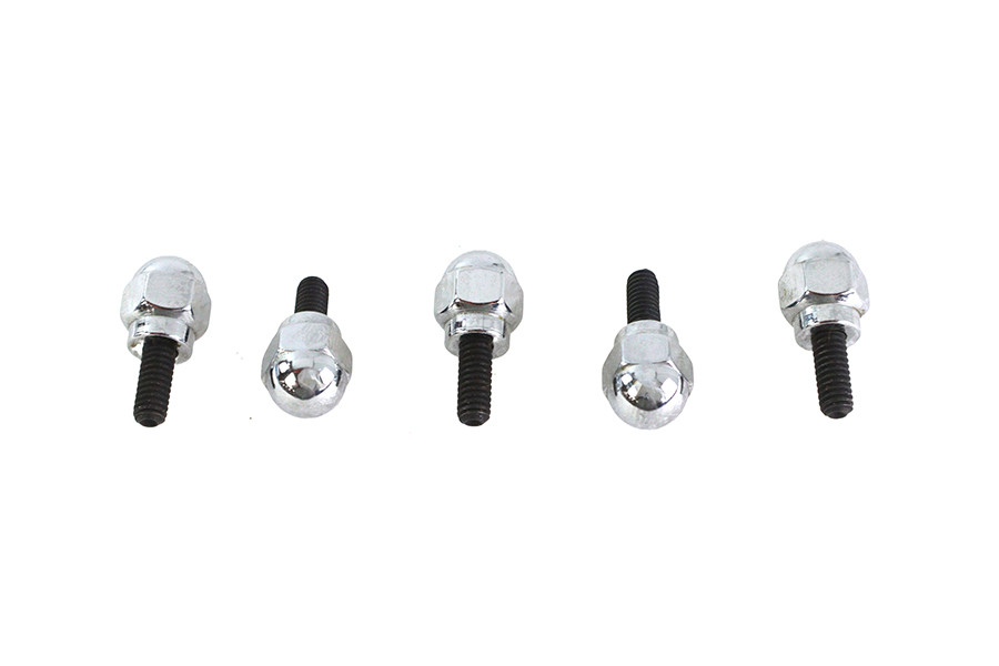 Colony - Acorn Screw Kit