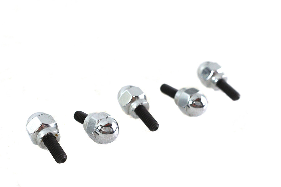 Colony - Acorn Screw Kit