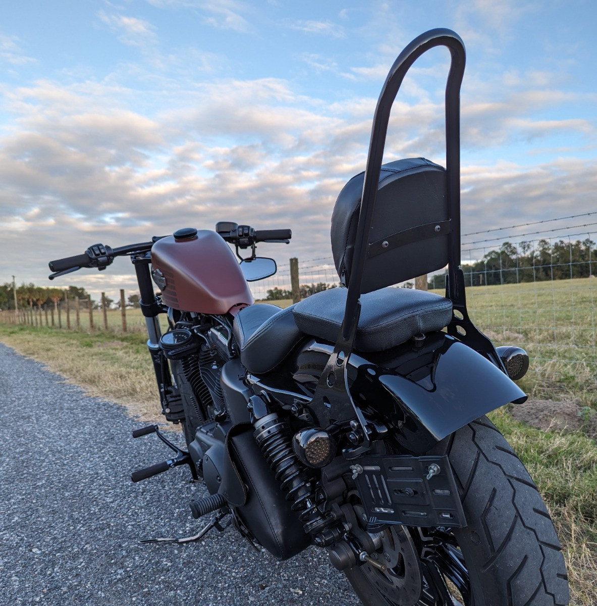 Hogworks Detachable Sissy Bar Backrest for Harley® Sportster '04-'22