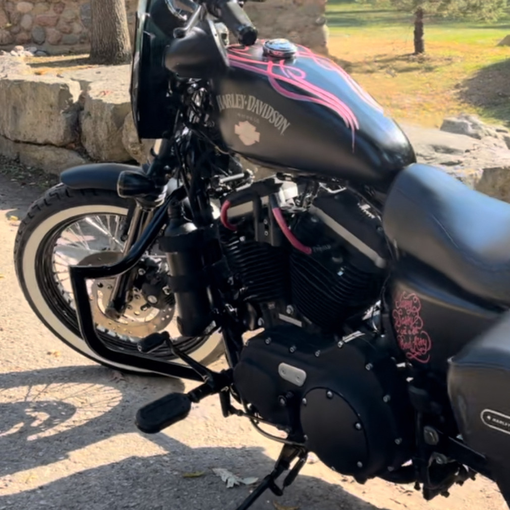 Hogworks Havoc 1.25" Engine Guard / Crash Bar for Harley® Sportster '04-'22