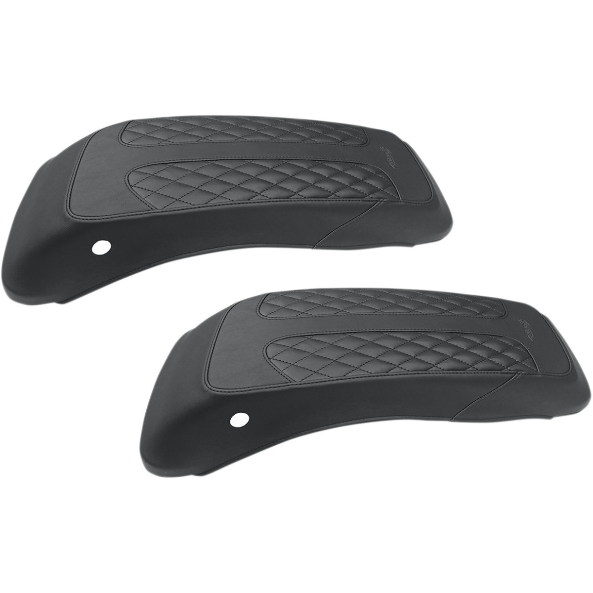 Mustang #77641 - Saddlebag Lid Covers - Dave Perewitz - FL - '14-'21