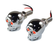 LICENSE SCRWS LIGHTED SKULL R