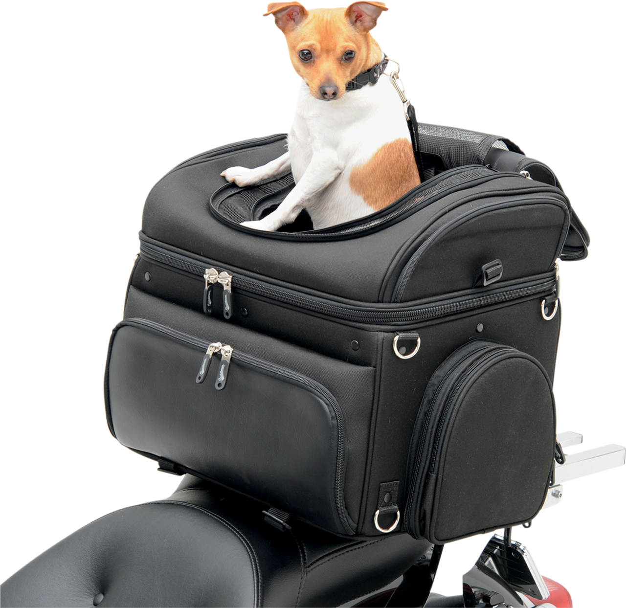 Pet Voyager