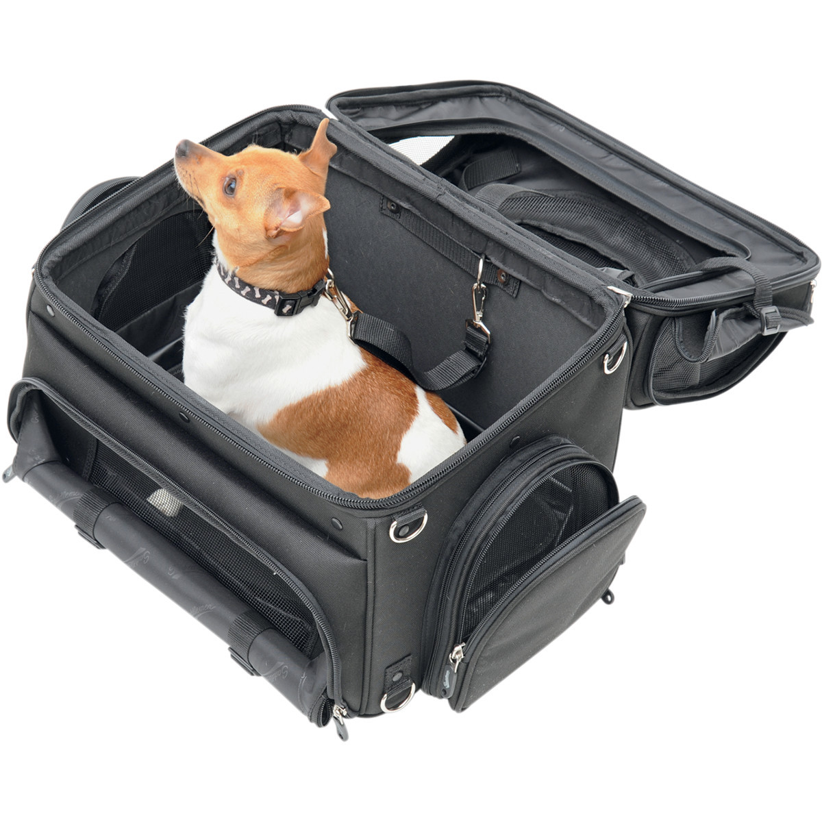 Saddlemen #EX000627 - Pet Voyager