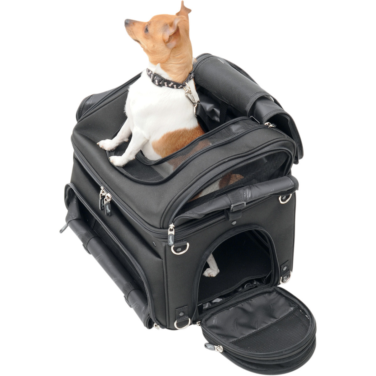 Saddlemen #EX000627 - Pet Voyager