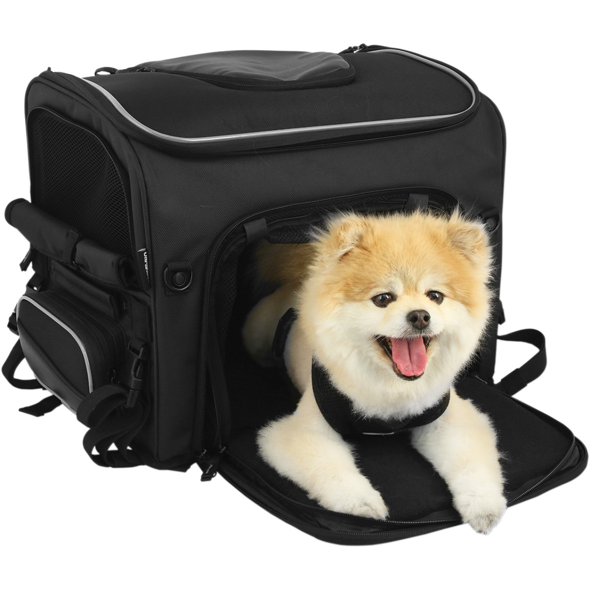 Nelson Rigg #NR-240 - Route 1 Rover Pet Carrier - Black