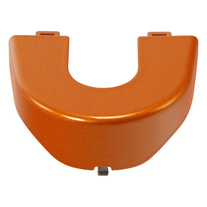 AMBER WHISKEY  / SWITCH TRIM FOR ROADG GLIDE RGL 15UP/ 1EA