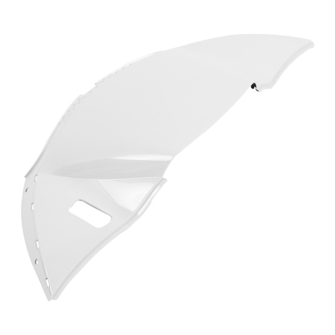 SALT PEARL/BLACK TEMPEST / FAIRING AIR DUCT RG RGL 15-UP/ EA