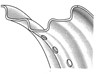V-FACTOR RIMS FOR MOST MODELS