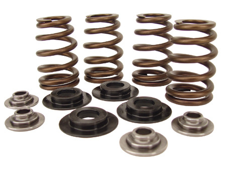 BEEHIVE VALVE SPRING KITS FOR EVOLUTION MODELS  &amp; TWIN CAM