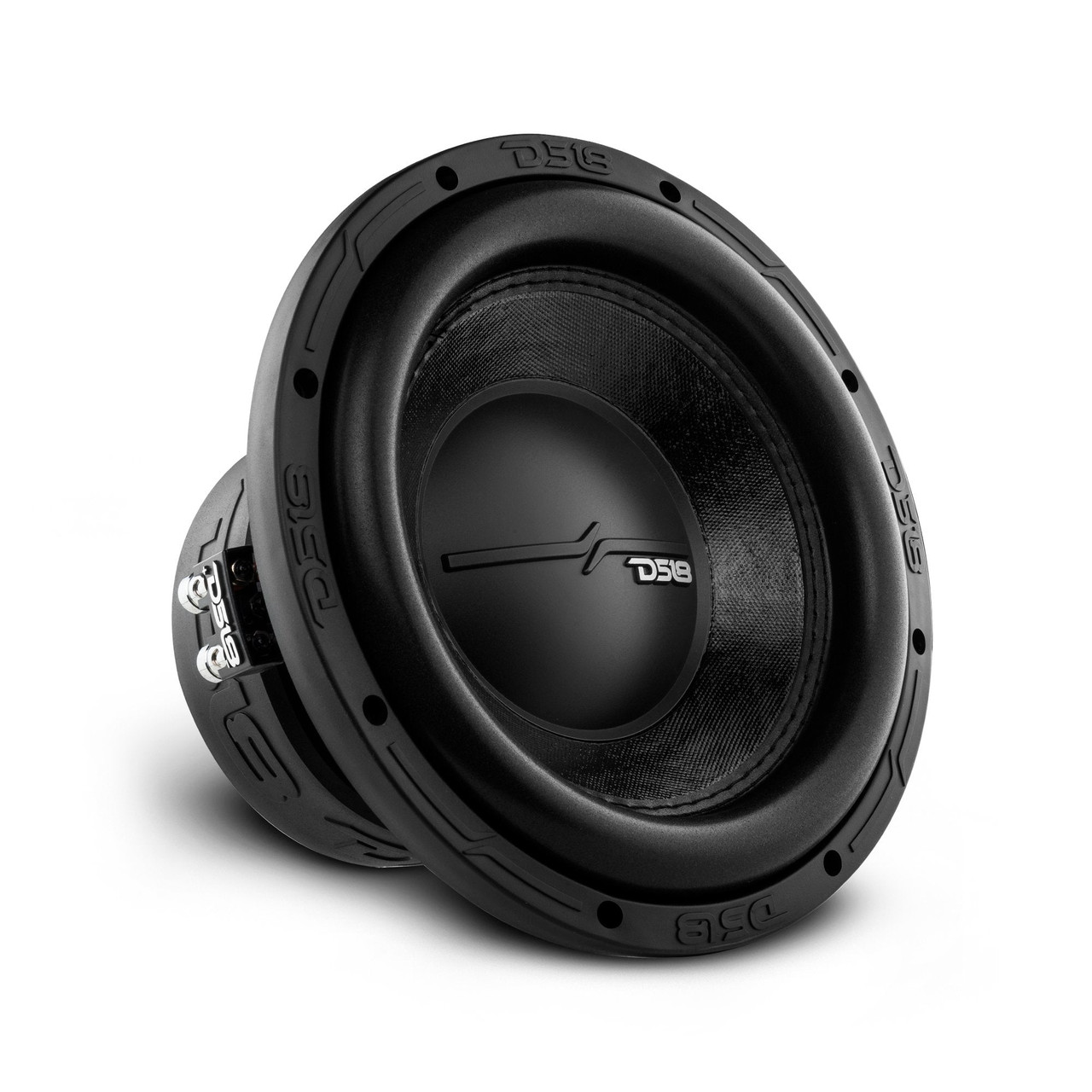 DS18 ZR10.2D - ZR 10" Subwoofer 700 Watts Rms DVC  2-Ohm