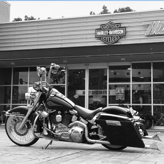 Color Matched Stretched Saddlebag Conversion Kit w/ Black Hardware for Harley® Softail '18-'26