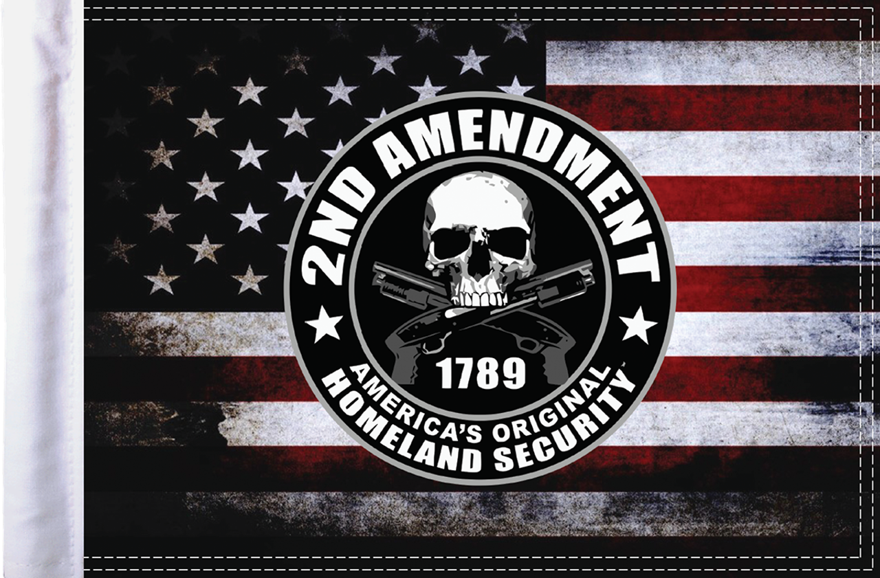 2nd Amendment Homeland Security Flag - 10" x 15"