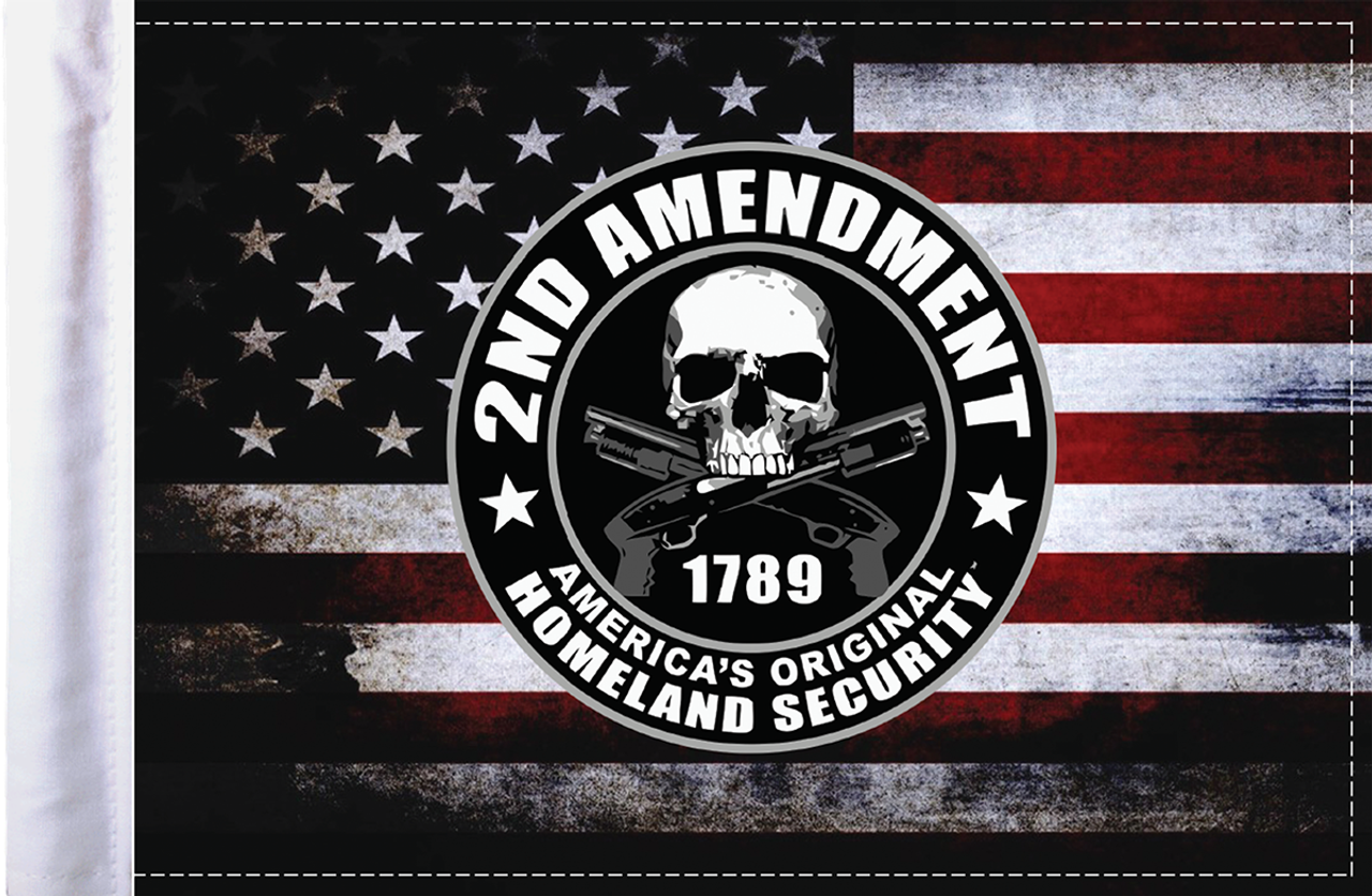 2nd Amendment Homeland Security Flag - 6" x 9"