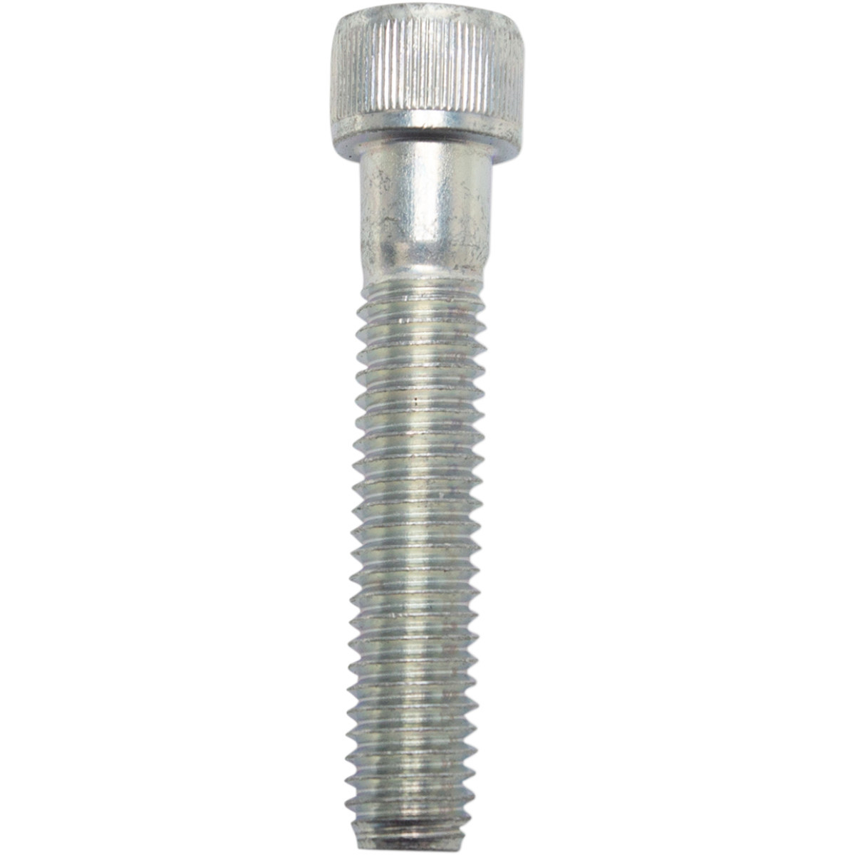 S&S Cycle #50-0164 - Socket Head Cap Screw - 3/8-16 X 2"