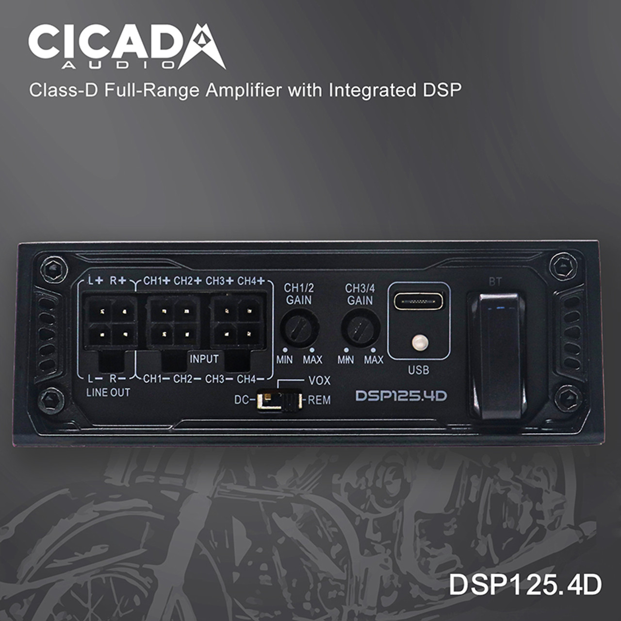 DSP125.4D-INPUT-ENMDPLATE-800X800