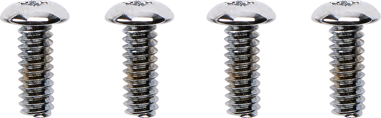 Drag Specialties Switch Housing Screws - Chrome
