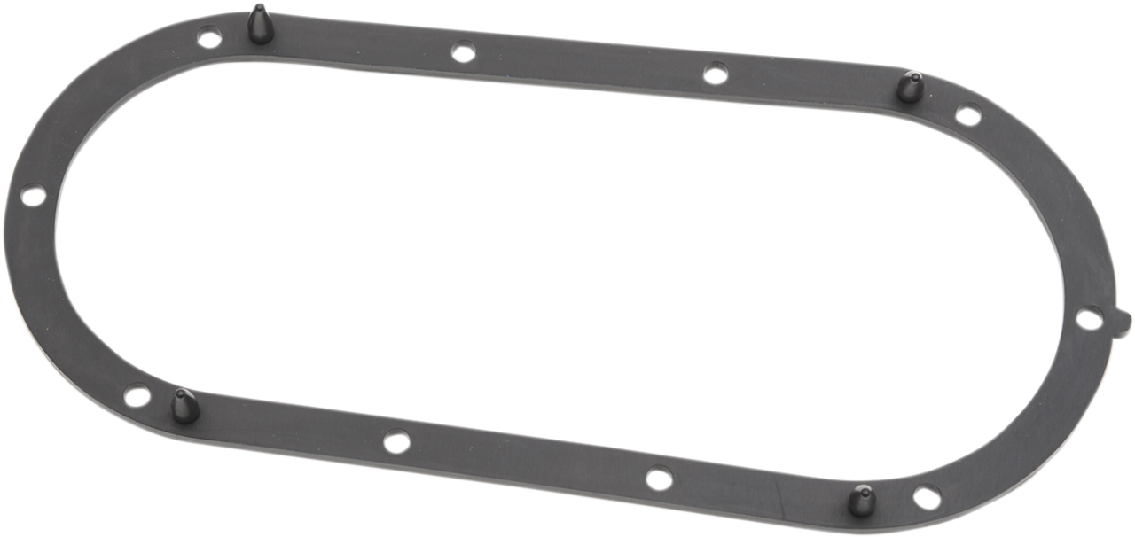 Seal For Fuel Pump Door - FLT