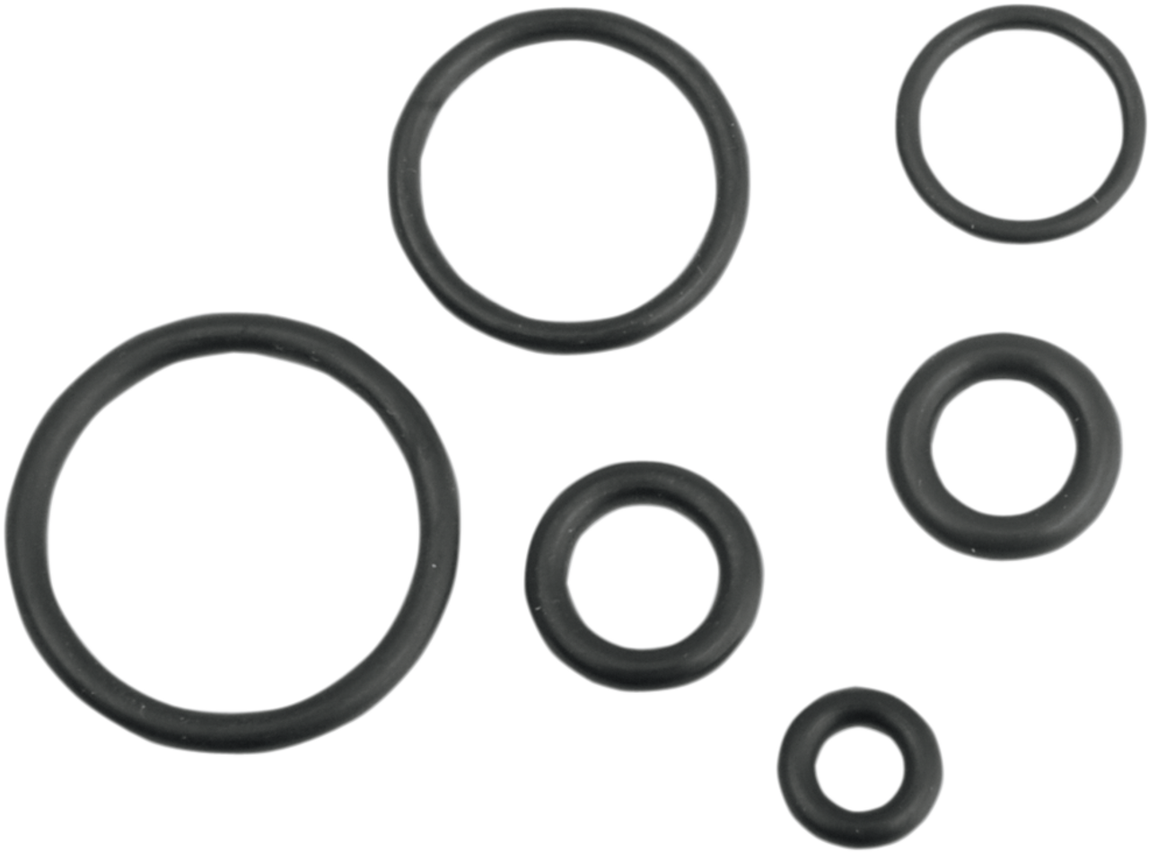 Replacement EFI Fuel Line O-Ring Kit