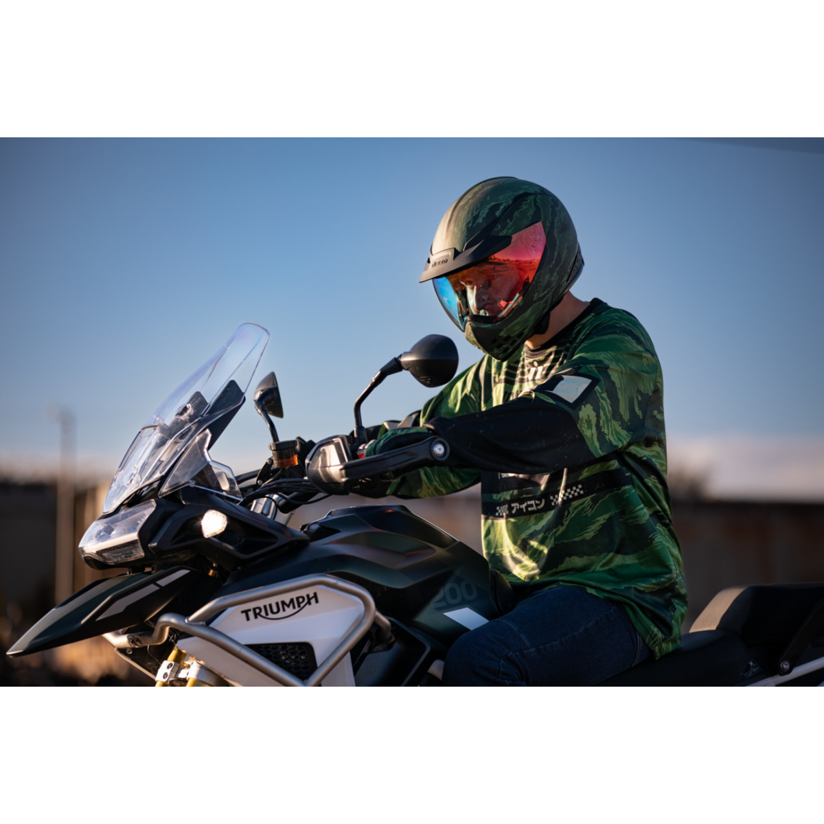 Icon - Domain™ Helmet - Tiger's Blood - Green - XS