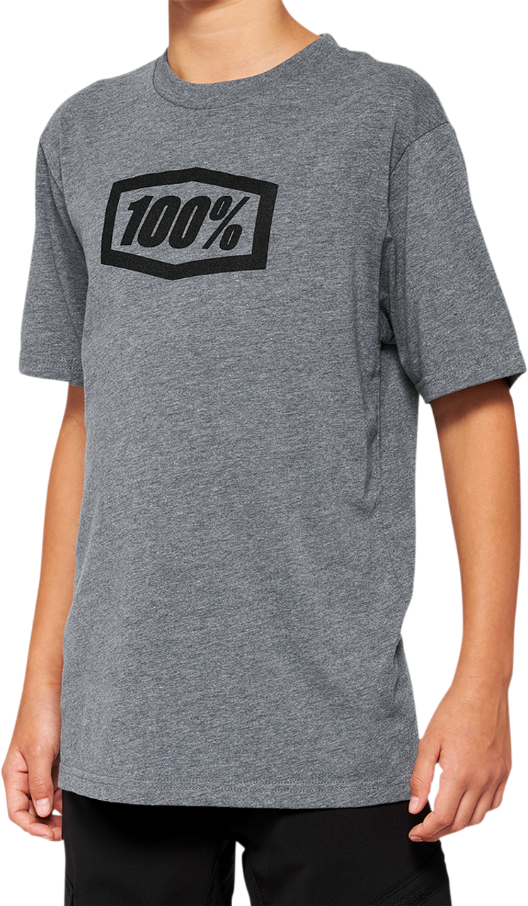 Youth Icon T-Shirt - Gray - Small - Lutzka's Garage