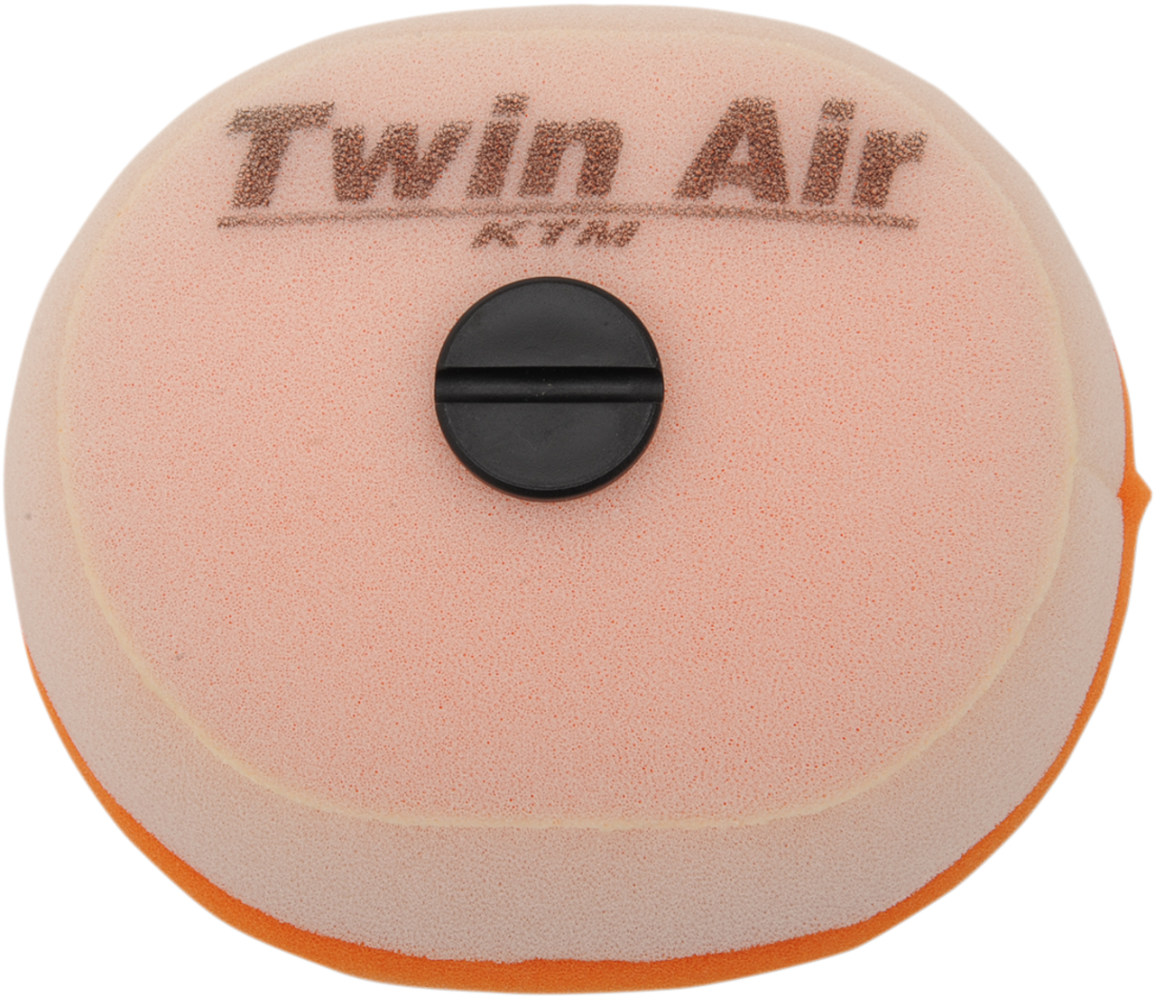 Twin Air Air Filter