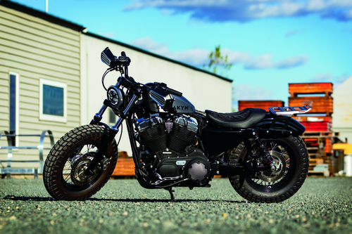 Kuryakyn #6666 - Dillinger Pegs With Male Mount Adapter Silver