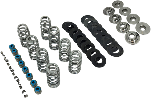 Beehive Valve Spring Kit - M8