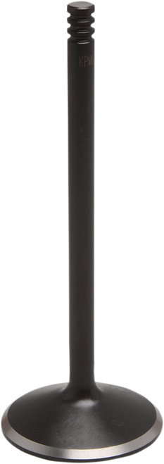 Intake Valve