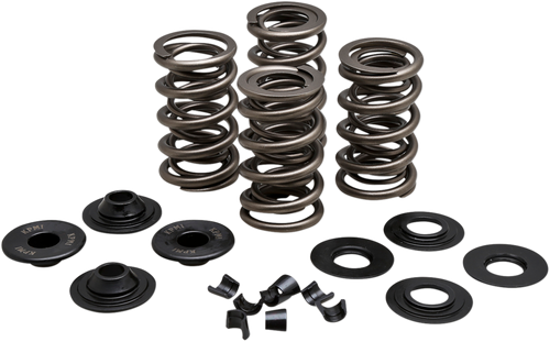 Spring Kit - .650" - Evolution/Twin Cam