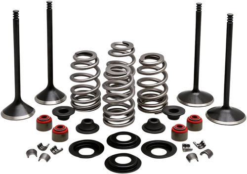 Complete Valve Kit - Evolution/1200