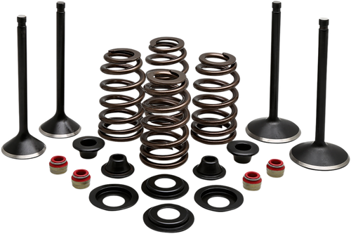 Complete Valve Kit - Evolution/1200