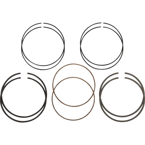 Hastings #2C523113 - Piston Rings - 107" Motor - 3.937" +.005" - M8