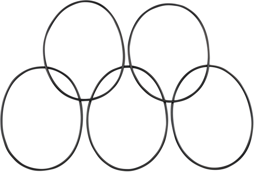 Derby Cover O-Ring