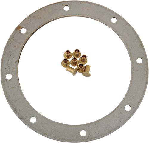 Friction Plate with Rivets