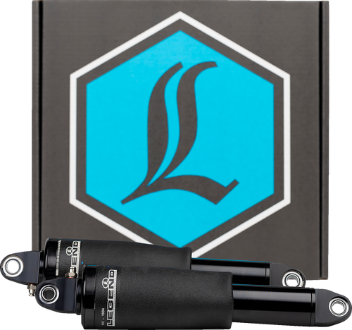 Air FL Air Suspension - 15+ FLTRX/U