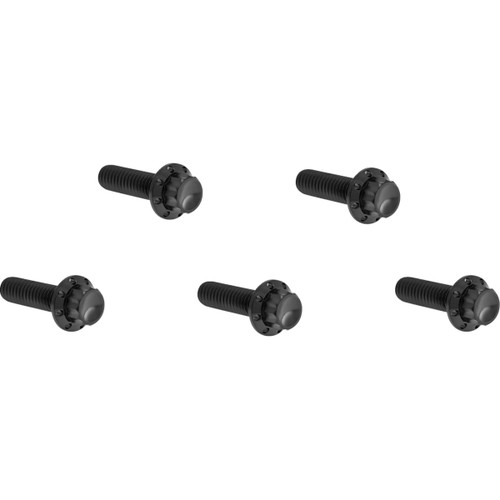 Arlen Ness #300-939 - Bolt Kit - Derby Cover - 12-Point - Titanium - Black