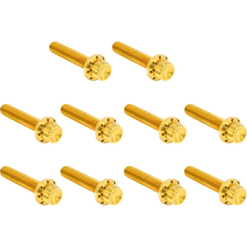 Arlen Ness #300-988 - Bolt Kit - Cam Cover/Point Cover - Titanium - 12-Point - Gold