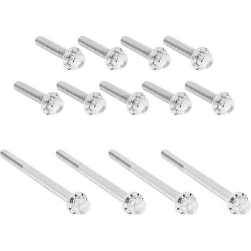 Arlen Ness #300-989 - Bolt Kit - Primary Cover - Titanium - 12-Point - Twin Cam - Polished