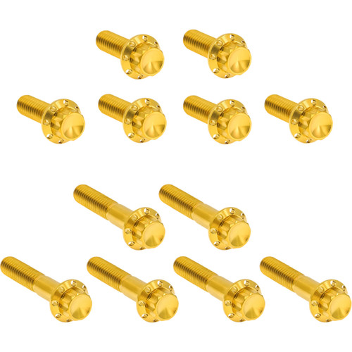 Arlen Ness #300-994 - Bolt Kit - Rocker Box - 12-Point - Titanium - Gold