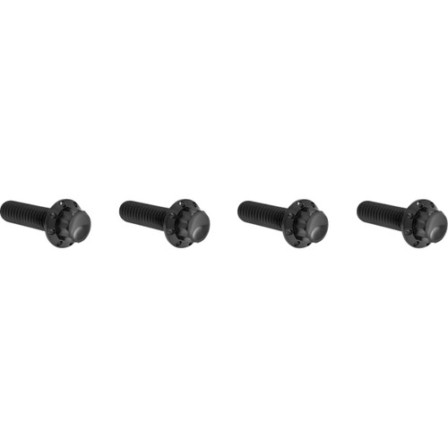 Arlen Ness #300-978 - Bolt Kit - Transmission Top Cover - 12-Point - Titanium - Black