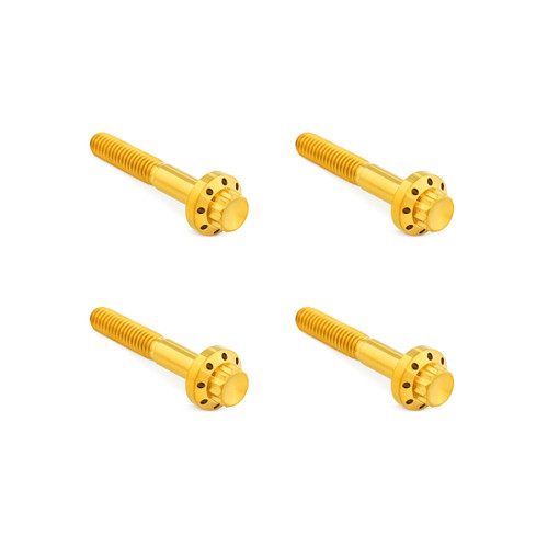 Arlen Ness #300-820 - Titanium 12-Point Front Fender Bolts, Gold