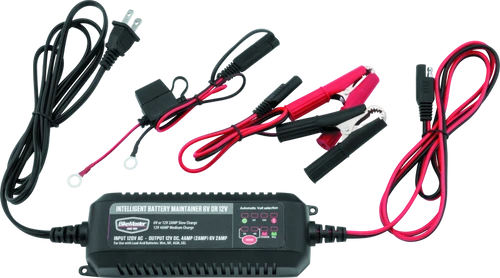 BikeMaster 150909 BikeMaster Intelligent Battery Charger