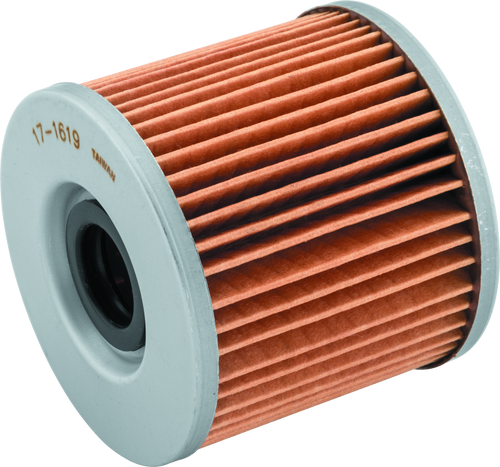 BikeMaster 171619 BikeMaster BM-133 Oil Filter - Black