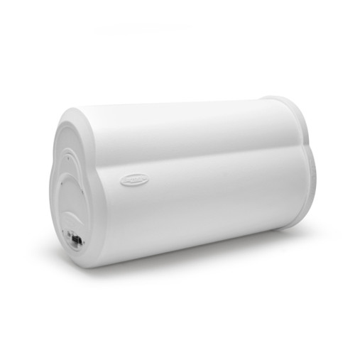 Bazooka MBTA10250D Marine Bazooka-10 In 250W